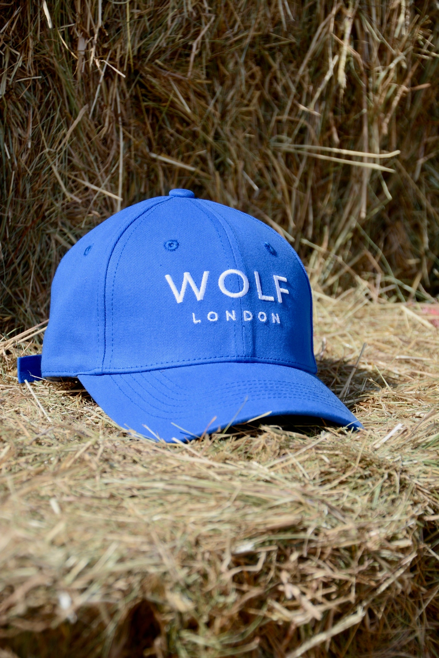Unisex Wolf Electric Blue Cap