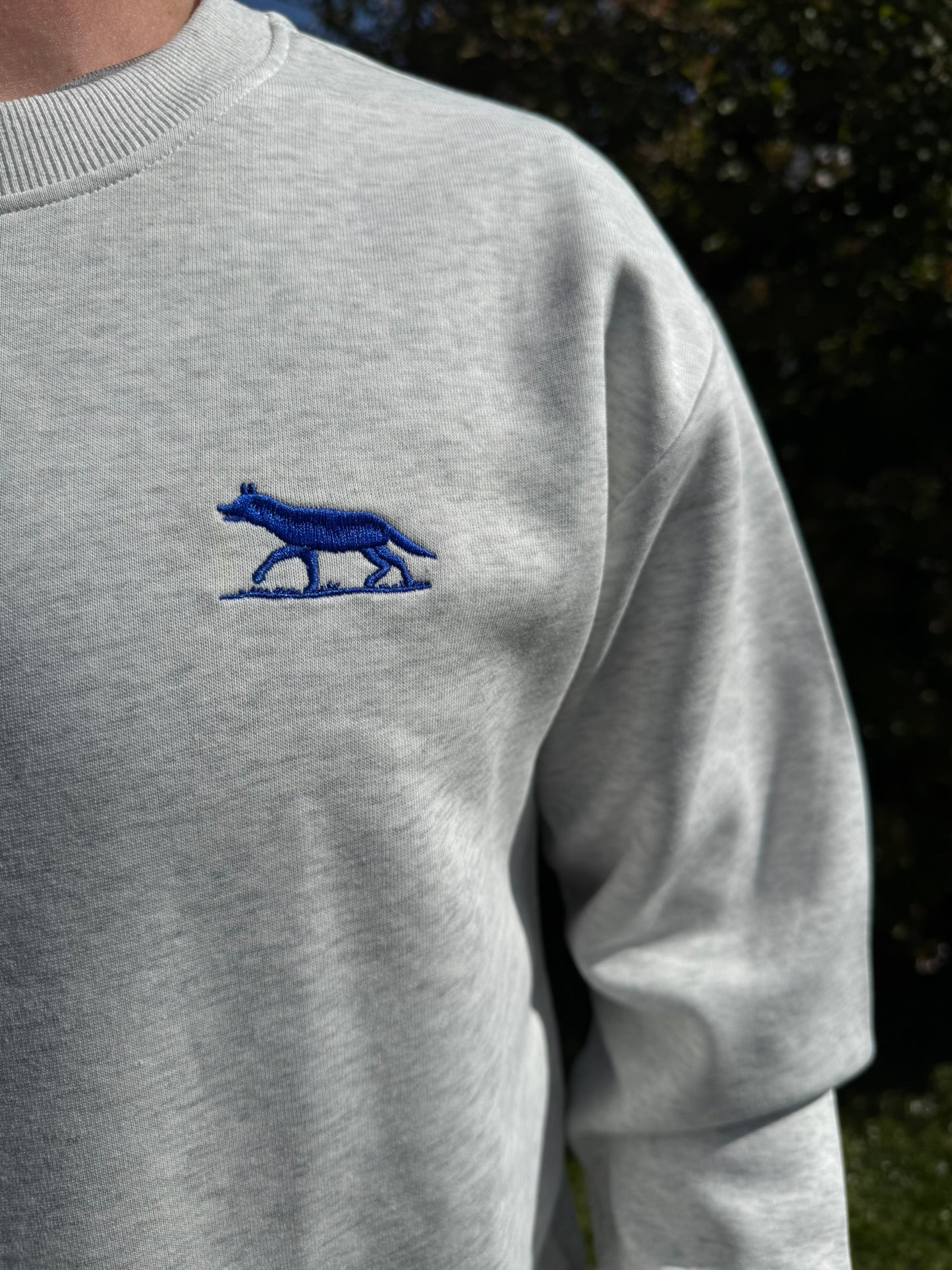 Men's British Columbia Grey Crewneck Jumpers