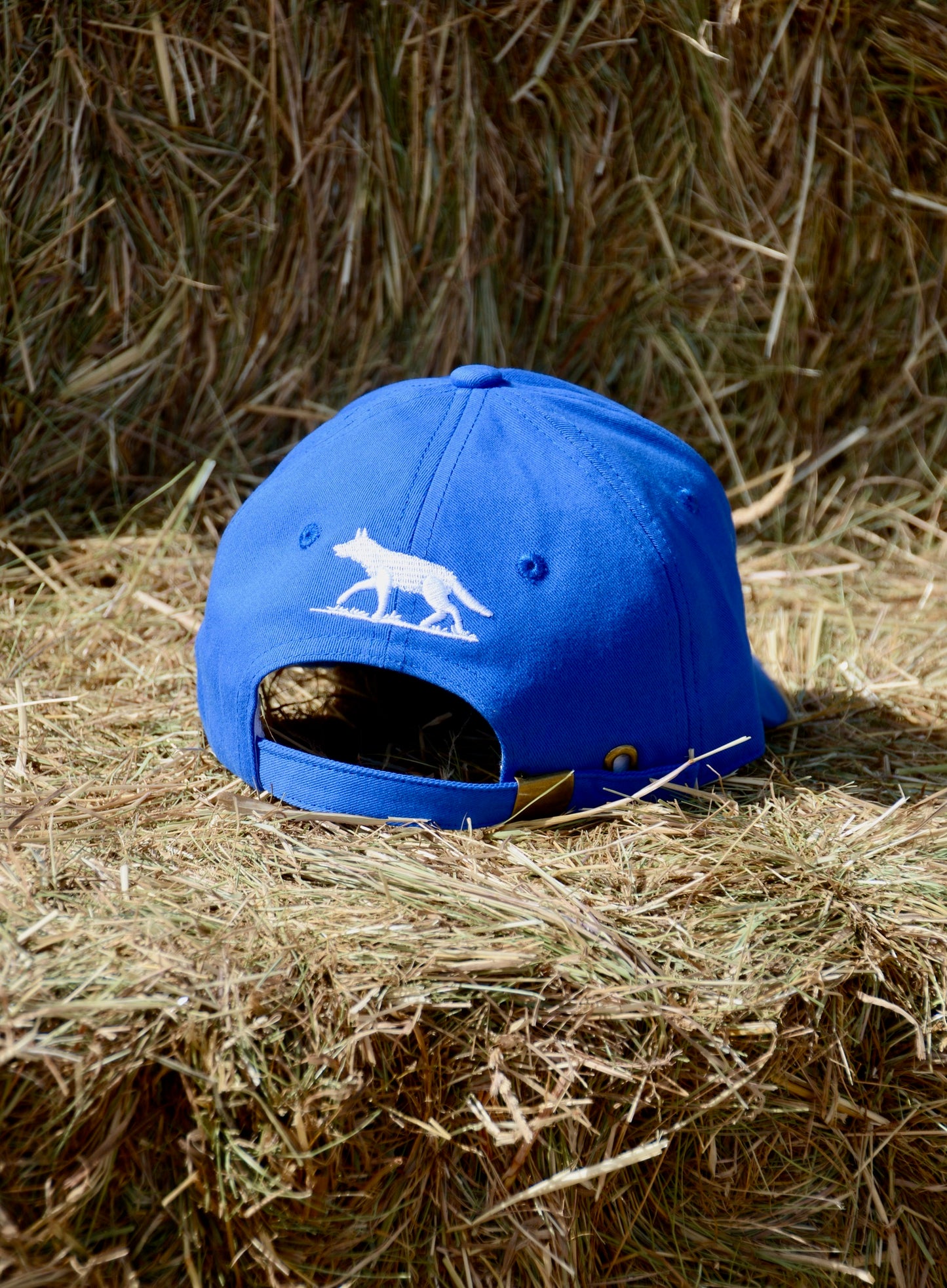 Unisex Wolf Electric Blue Cap