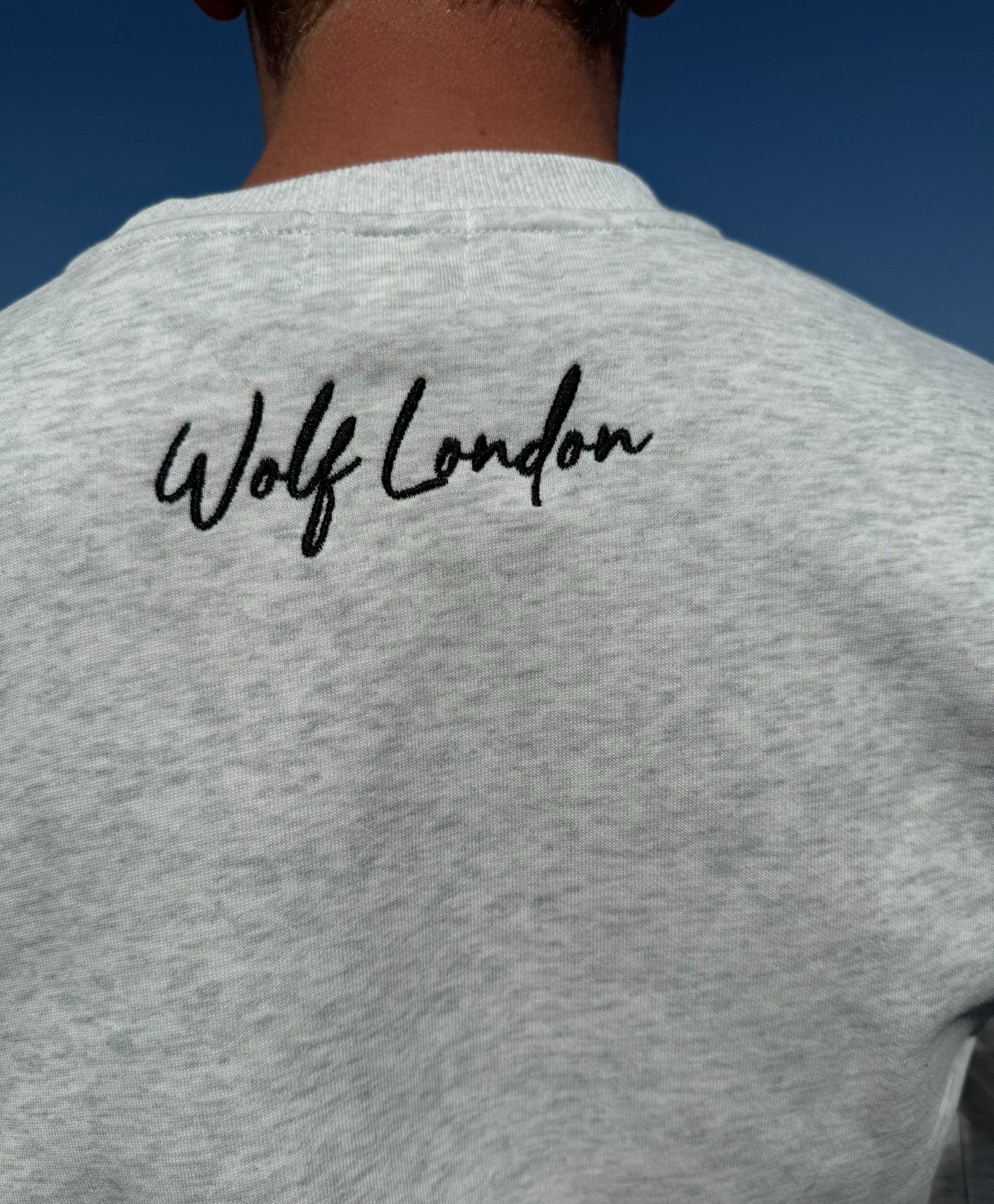 Men's Range Rover Print Crewneck Jumper