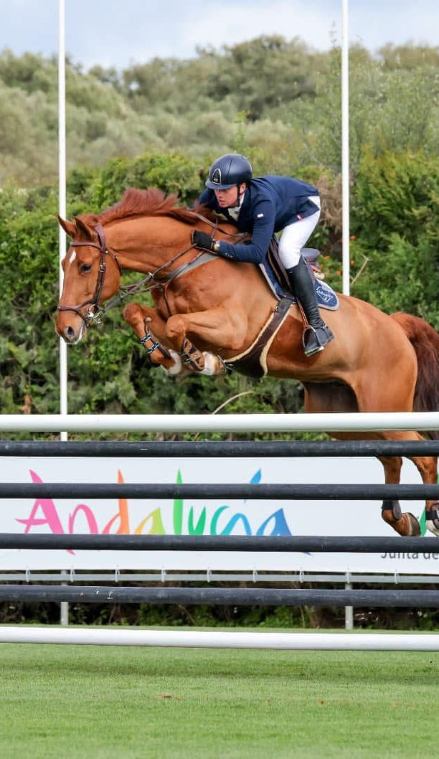 A horse rider in navy and white equestrian attire jumps a brown horse over a show jumping fence outdoors, with green trees and grass in the background and a white barrier displaying the word 'Andalucia'.