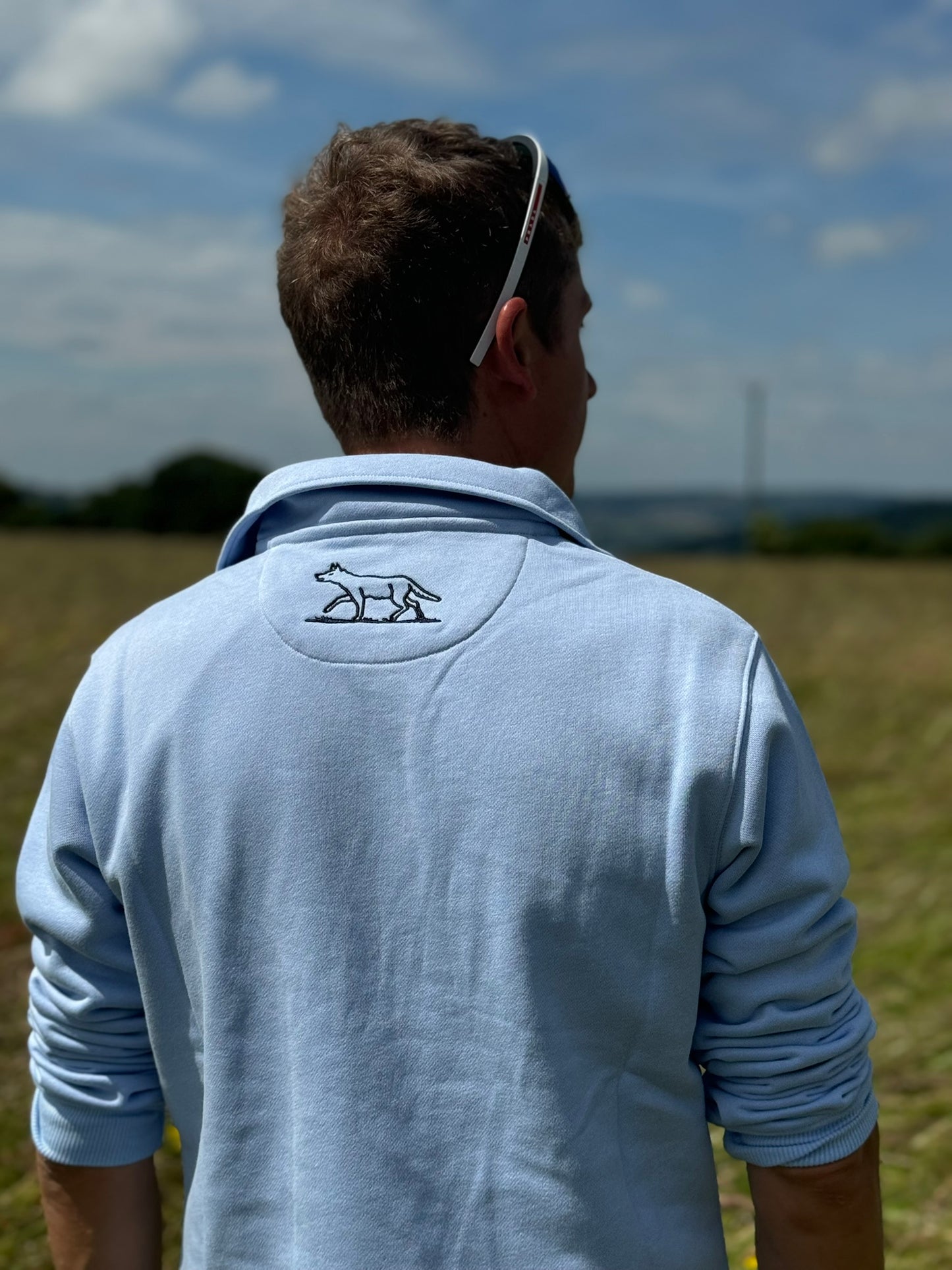 Men's blue quarter zip back view 