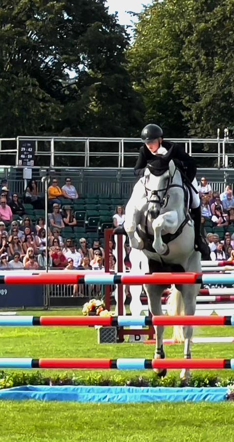 A white horse with a rider in black equestrian attire jumping a red, blue, and white show jumping fence in an outdoor arena with spectators in the background.