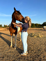 Wolf Equestrians Women's Blue Four Way Stretch Riding Leggings Back View