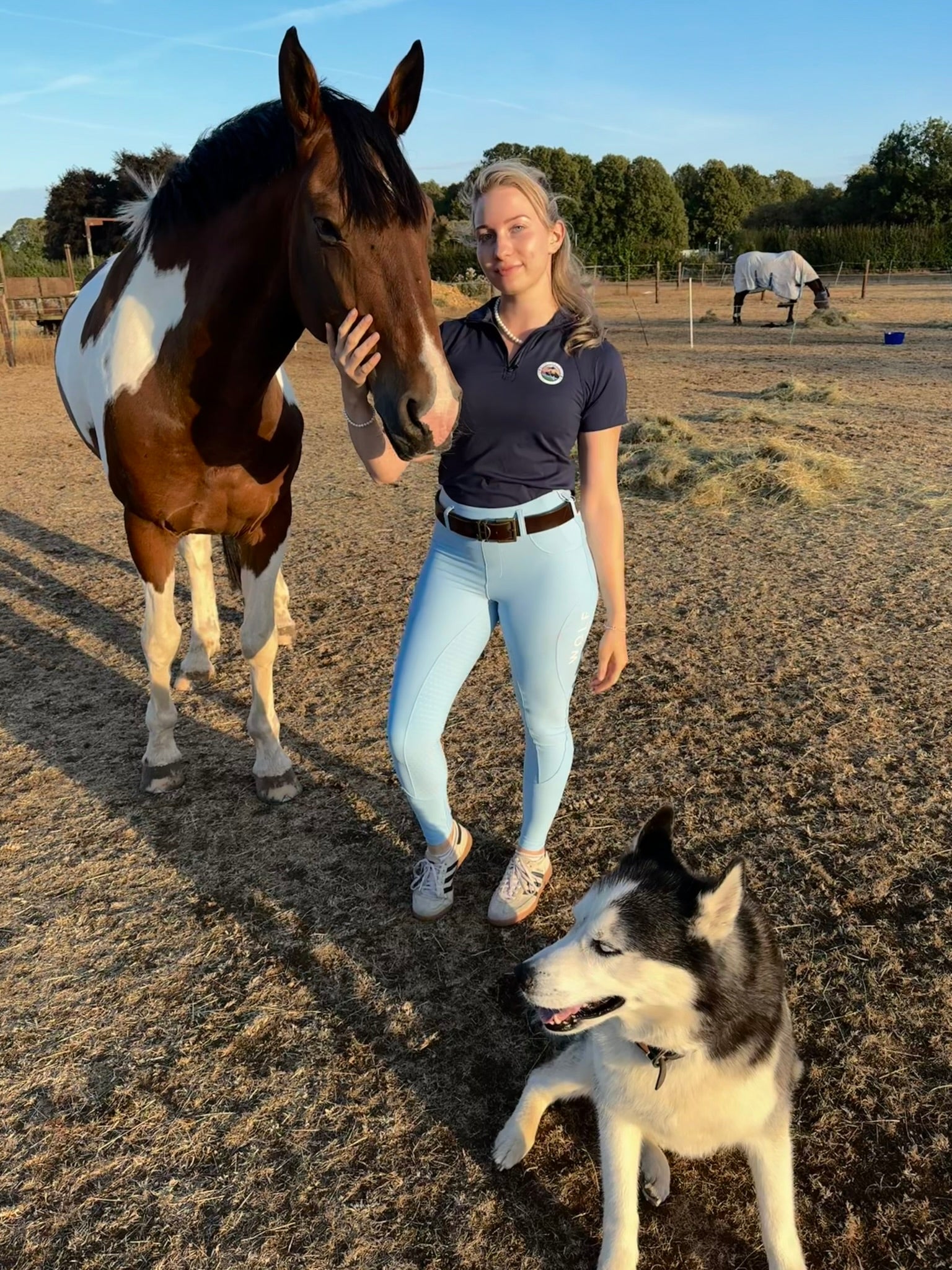 Wolf Equestrians Women's Blue Four Way Stretch Riding Tights in the field with the horses and dog